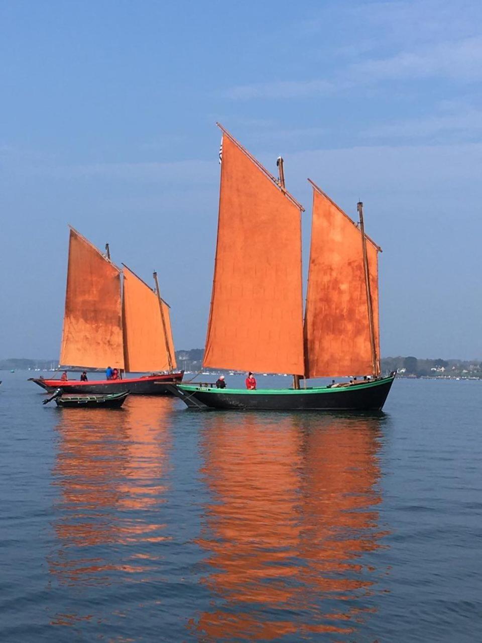 1 2 3 Chambres Entre La Presqu Ile De Rhuys Et Le Golfe Du Morbihan 塞科斯 外观 照片